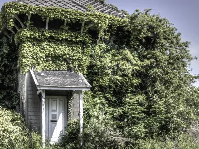 Well-maintained house surrounded by greenery