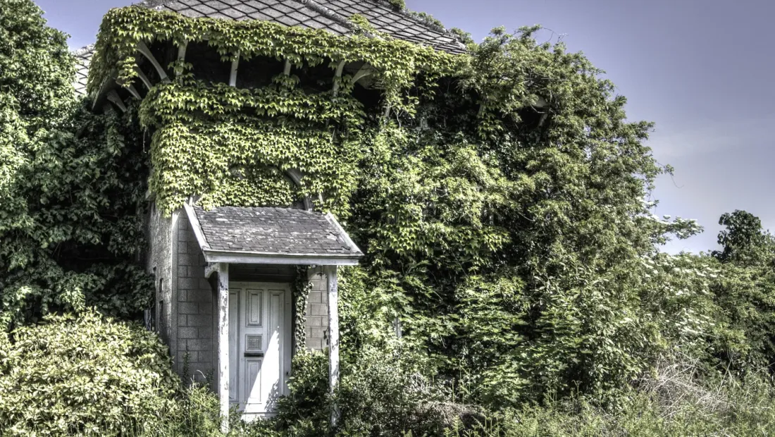 Well-maintained house surrounded by greenery