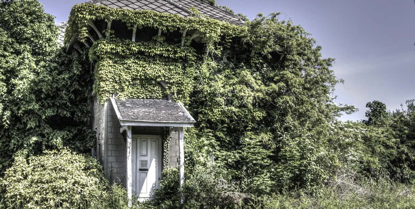 Well-maintained house surrounded by greenery